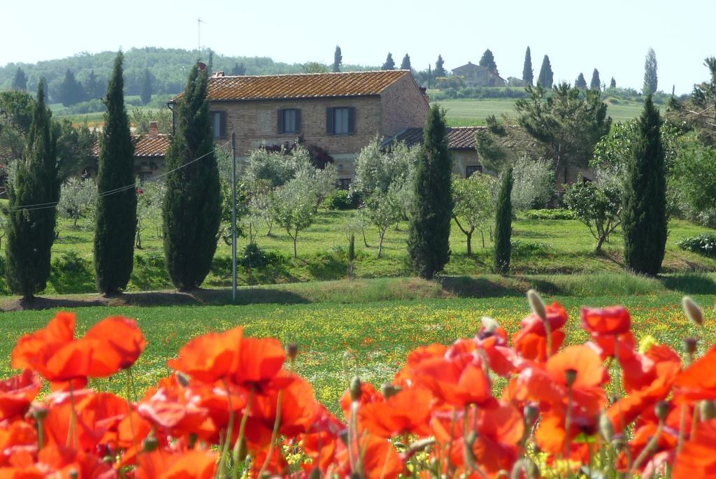 Agriturismo Santa Maria Pienza Kültér fotó