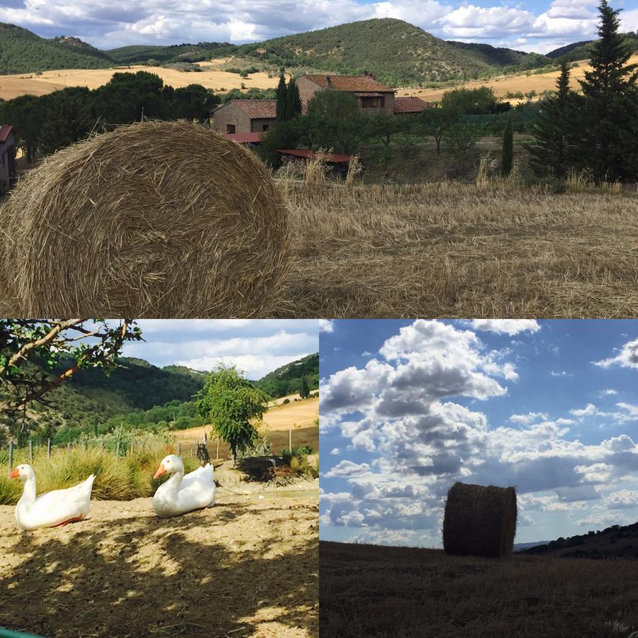 Agriturismo Santa Maria Pienza Kültér fotó